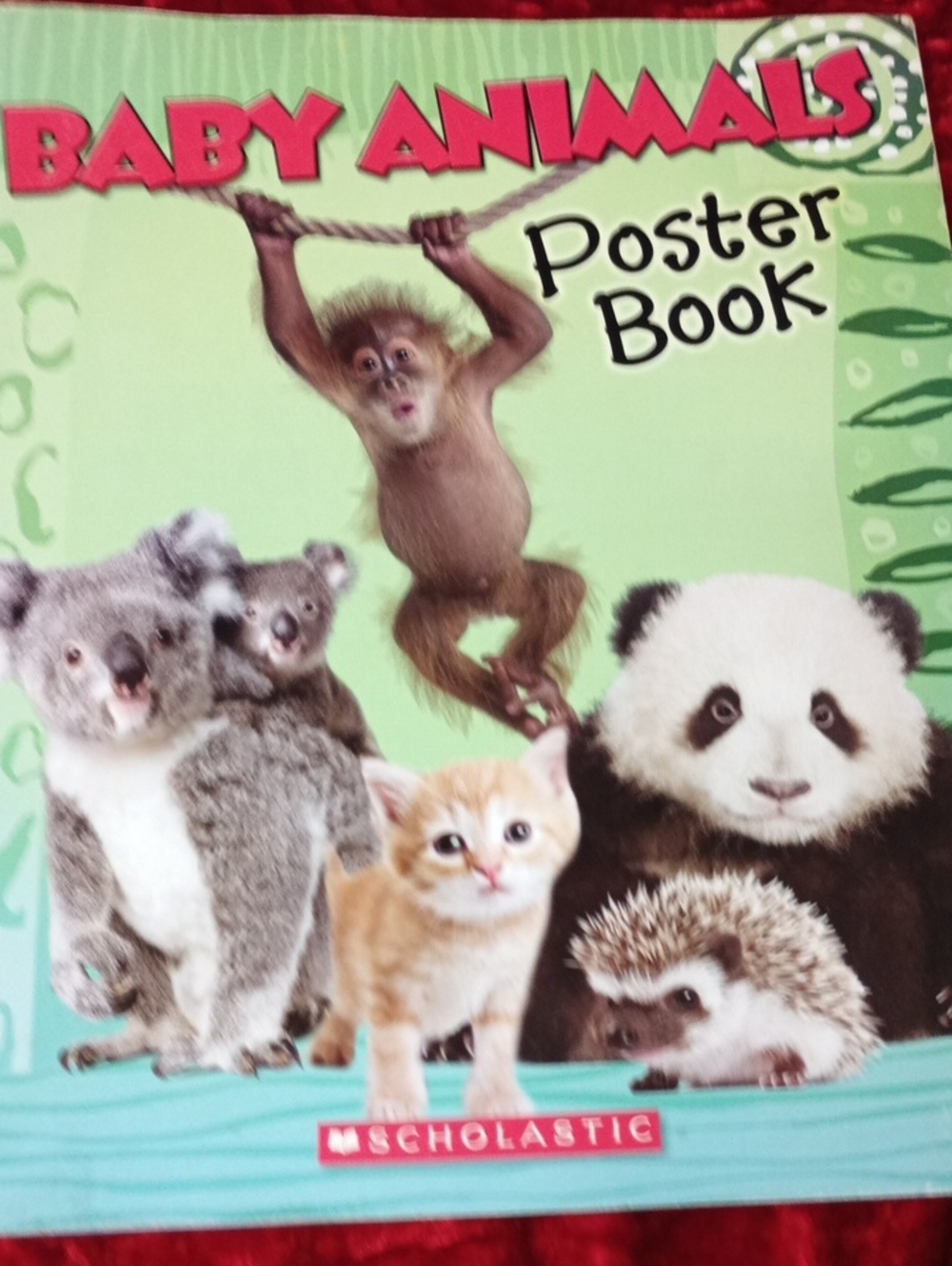 Scholastic Baby Animals Poster Book - Green with Pink Title